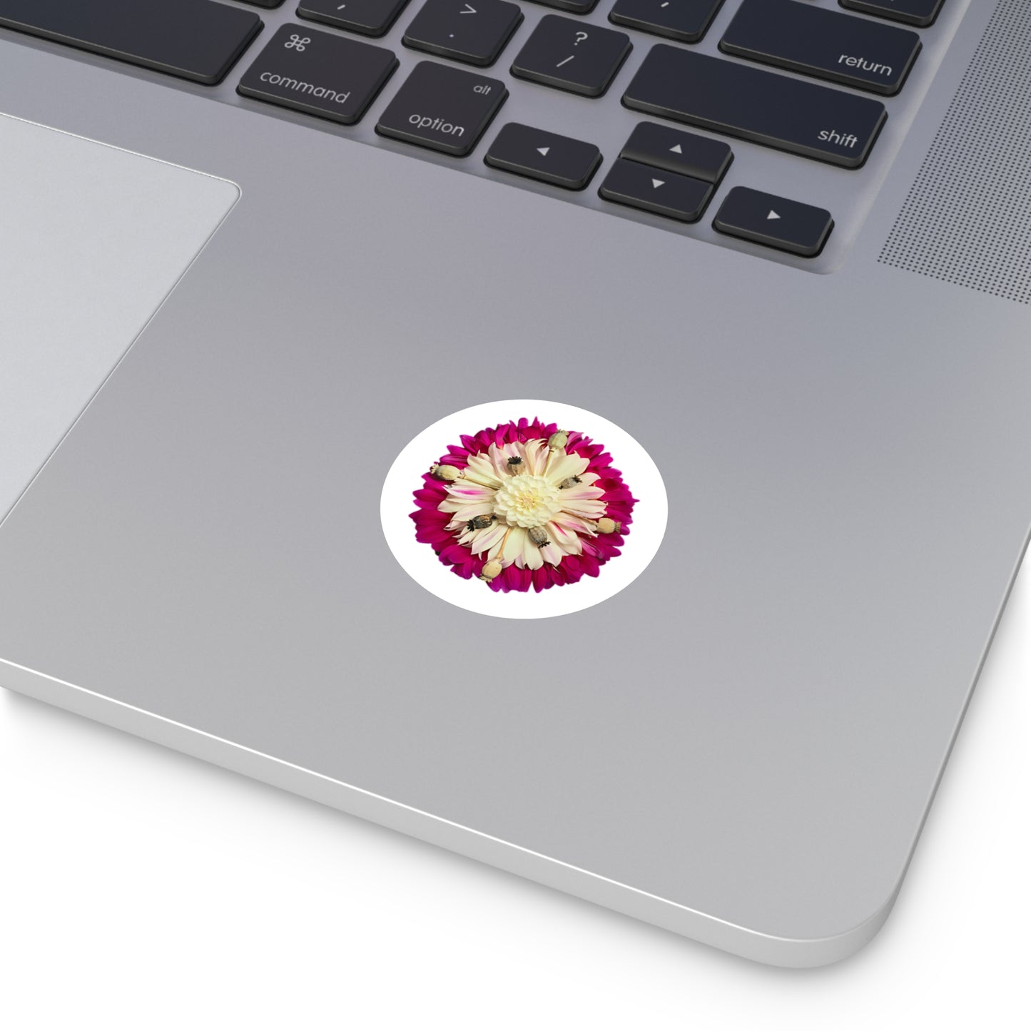 Large Stickers (Autumn Transition)