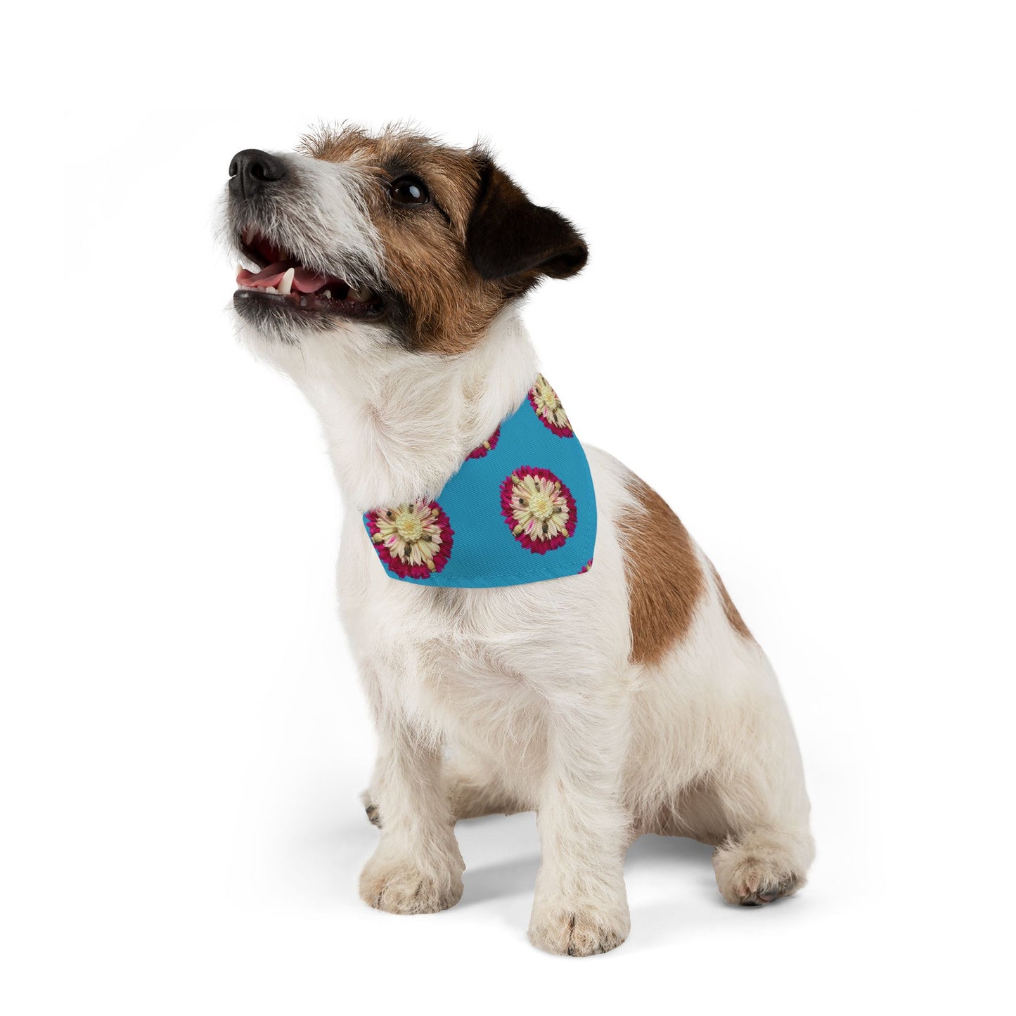 Pet Bandana Collar (Hungarian Bread Seed Poppies)