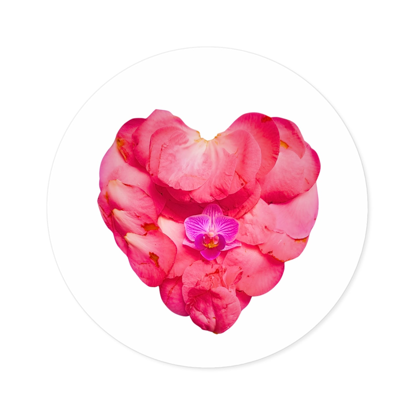 Large Stickers (Pink Camellia)