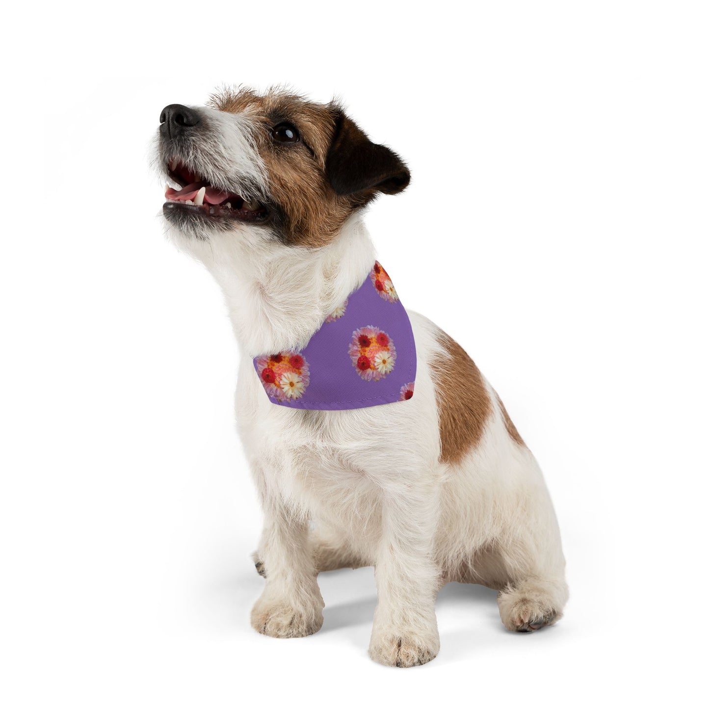 Pet Bandana Collar (Fiery Dahlias)