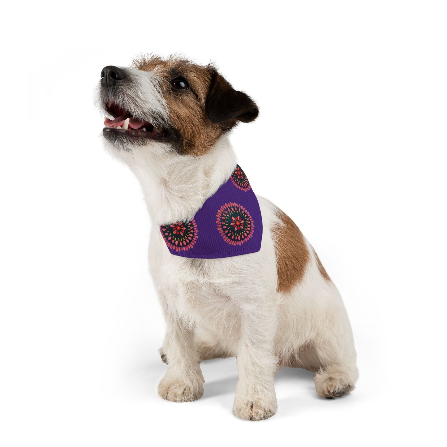 Pet Bandana Collar (Sacral Chakra)