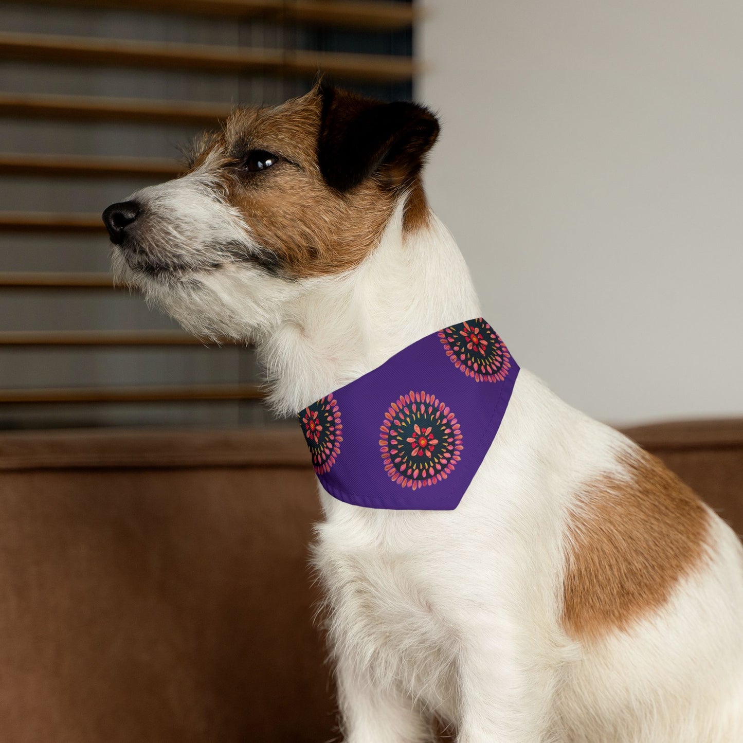 Pet Bandana Collar (Sacral Chakra)