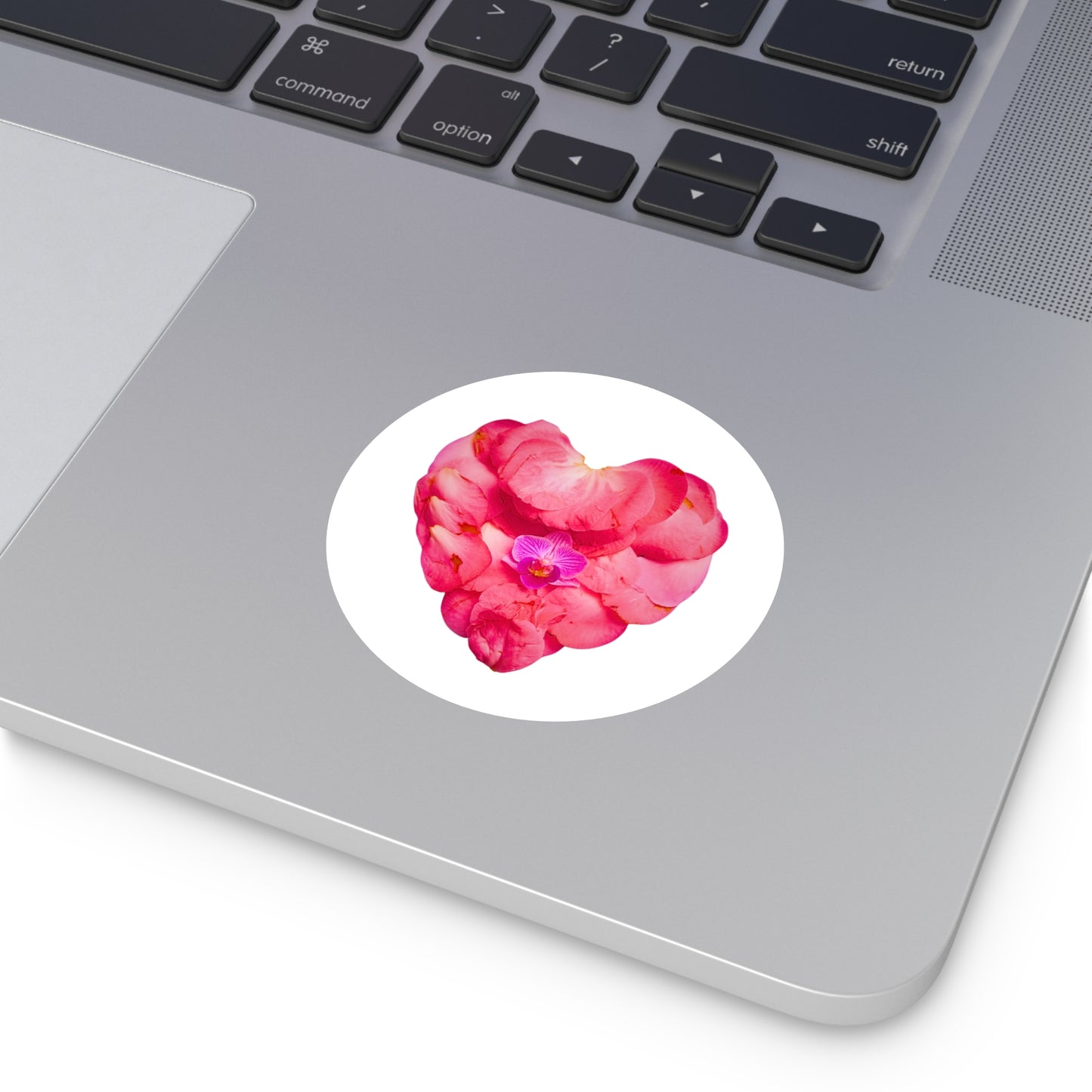 Large Stickers (Pink Camellia)