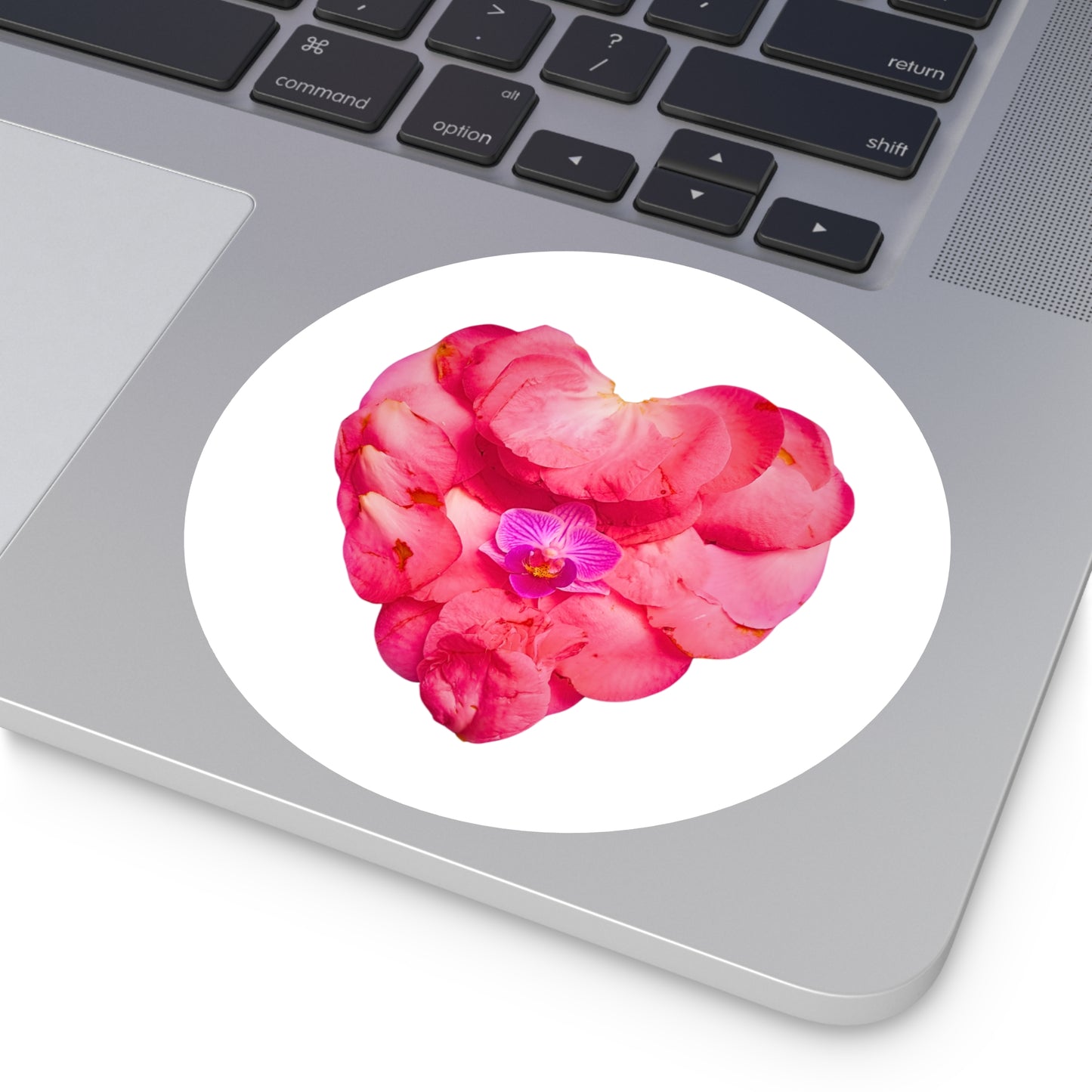 Large Stickers (Pink Camellia)