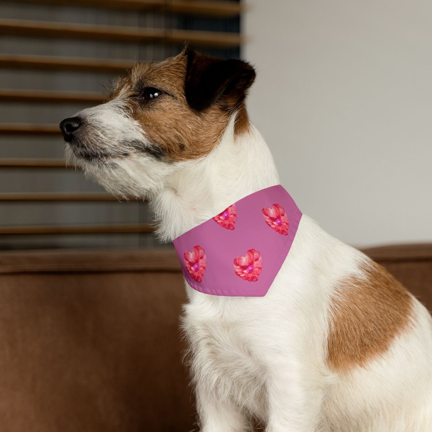 Pet Bandana Collar (Beauty & Strength)