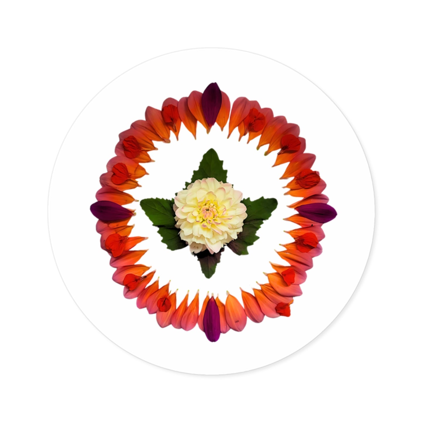 Large Stickers (Summer Dahlias)