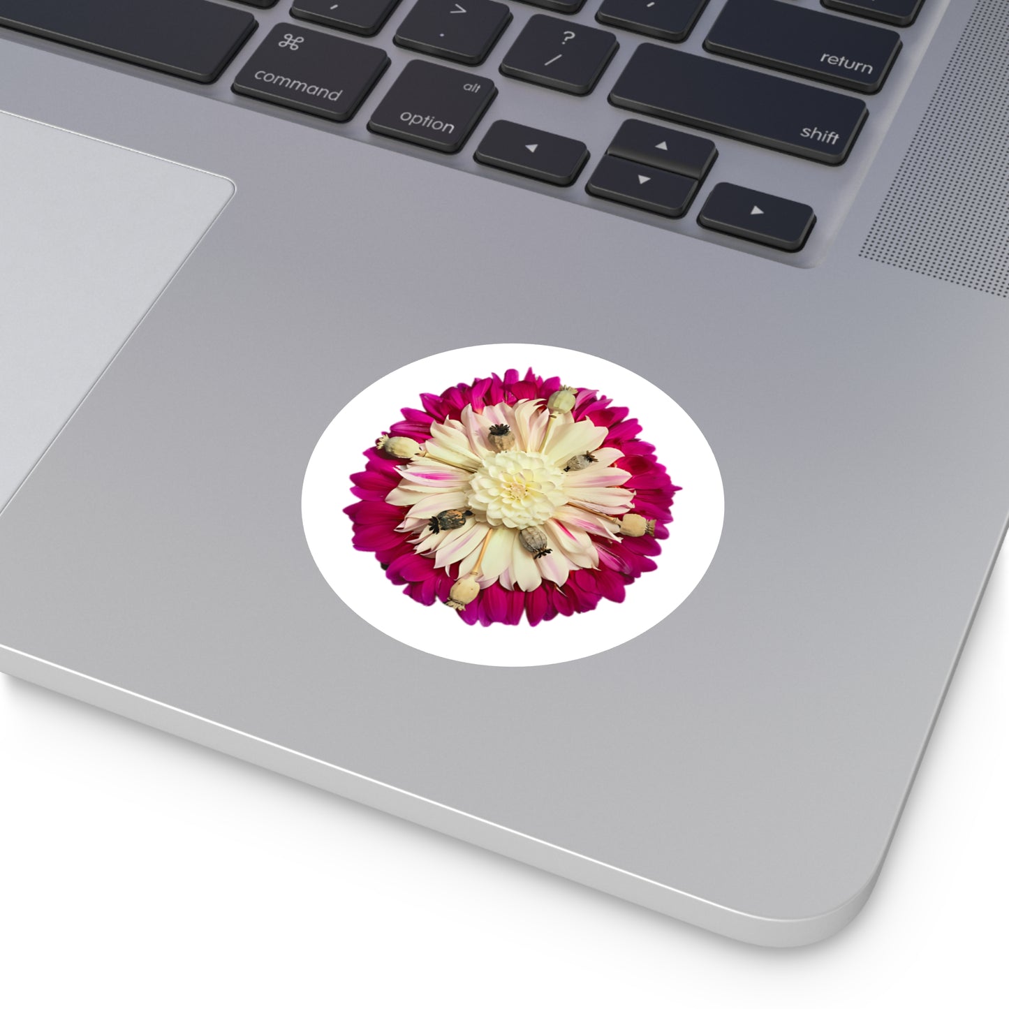 Large Stickers (Autumn Transition)