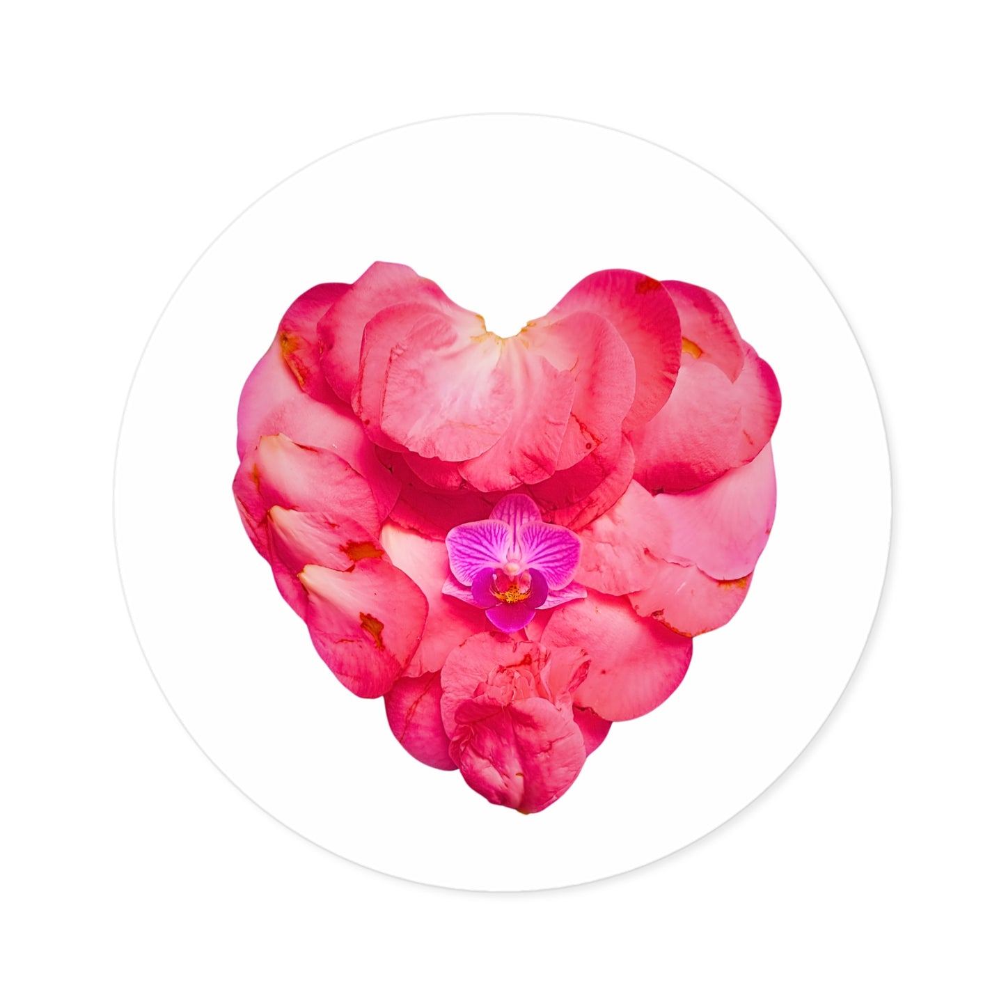 Large Stickers (Pink Camellia)