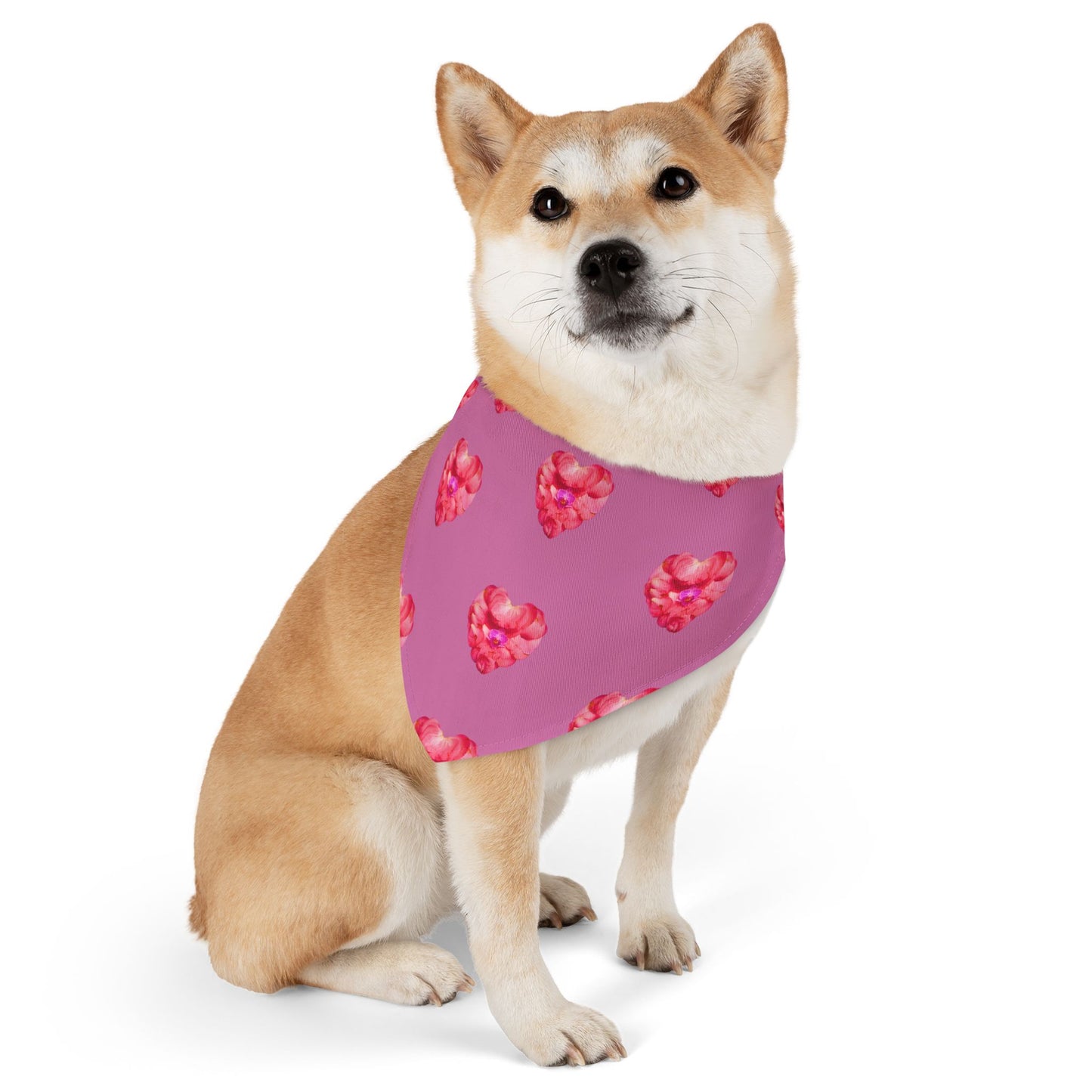 Pet Bandana Collar (Beauty & Strength)
